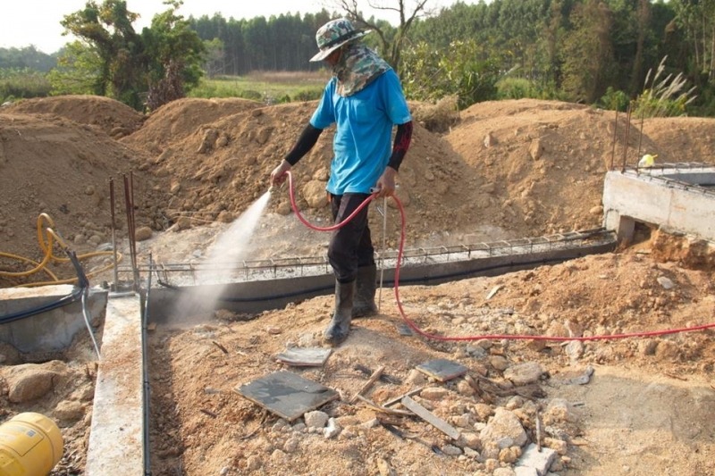 แนะนำบริษัทกำจัดปลวกนครสวรรค์